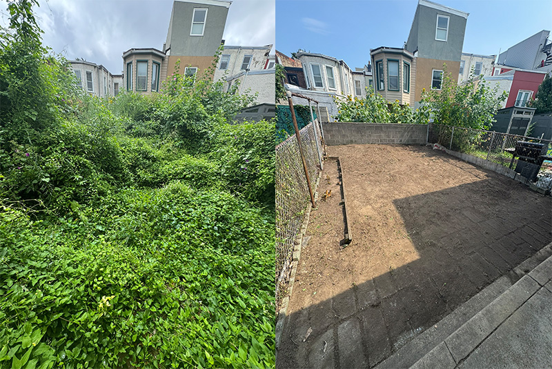 These Fishtown residents wanted to get rid of their weeds and vines, and now they have a bocce ball court.