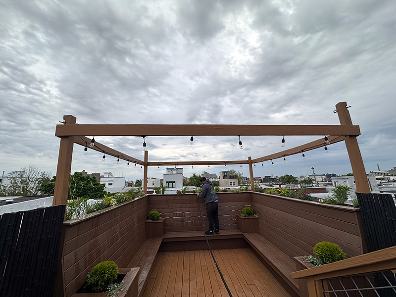 South Philly roof deck plants. You can smell Geno's and Pat's from the roof.