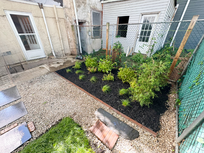 This shady Fishtown backyard was rewilded with Northern Bush Honeysuckle, Wild Blue Phlox, and Pennsylvania Sedge.